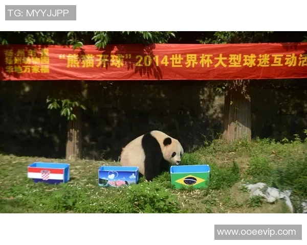 足球明星的宠物生活揭秘他们都养了哪些可爱的动物伙伴