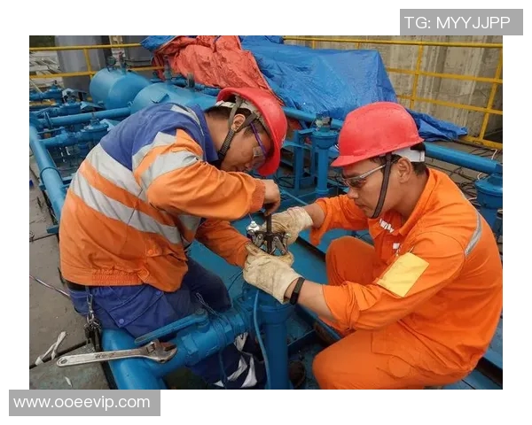 拉什福德：足球明星背后的奋斗故事与青春梦想